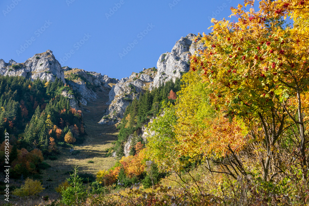 Belianske Tatras in autumn. Slovakia.
