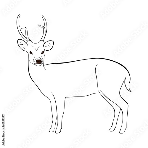 Hand drawn stag silhouette vector illustration  isolated on white background. Deer in minimal style. Deer in black and white drawing