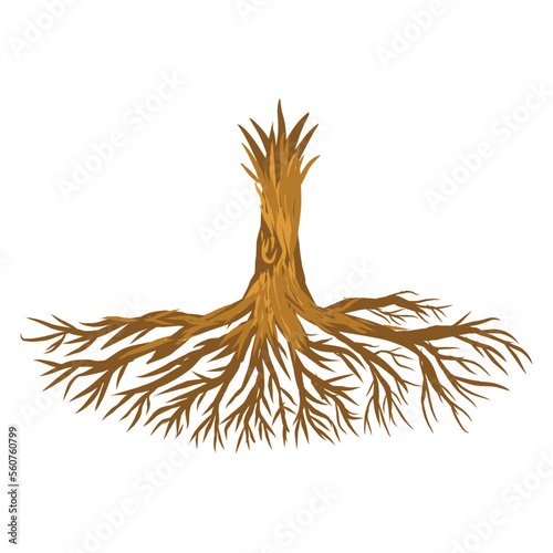 Illustration of tree roots