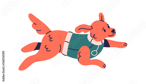 Cute dog running. Happy puppy wearing costume, clothes. Adorable pup, canine animal. Small lovely doggy pet rushing at fast speed. Flat vector illustration isolated on white background