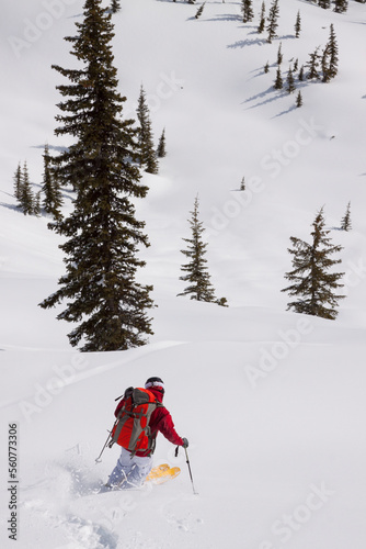 A backcountry skier near Ymir, British Columbia.