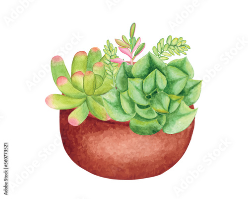 Watercolor Succulent Clipart Set, Beautifully Arranged Hand-drawn Colorful Succulent Plants