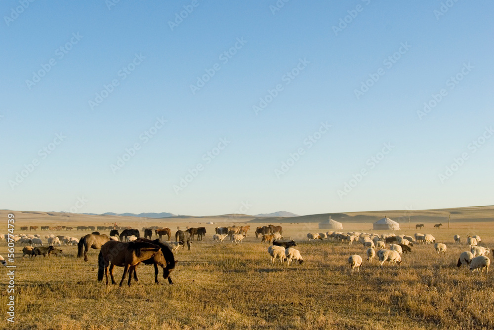 Nomadic herders, Karakorum (Kharkhorin), Mongolia Nomadic herders, Karakorum (Kharkhorin), Mongolia
