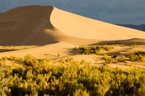 Khongoryn Els sand dunes, Gobi National Park, Mongolia photo