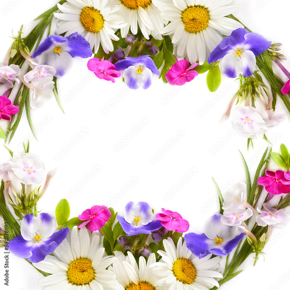 Floral pattern of daisies, phloxes, violets isolated on white . There is free space for text. Collage.