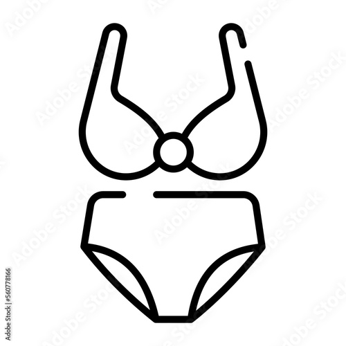 Ladies under garments vector design isolated on white background