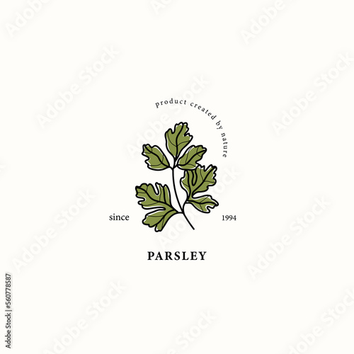Line art parsley branch drawing