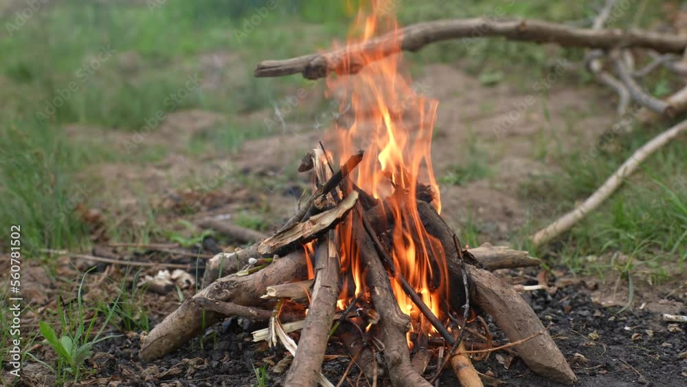 Close up front view of burning firewood campfire on bank of river. Closeup yellow flame burning in bonfire. Camp fire in cloudy forest outdoors. Shooting in slow motion. Close up front view of burning firewood campfire on bank of river. Closeup yellow flame burning in bonfire. Camp fire in cloudy forest outdoors. Shooting in slow motion.