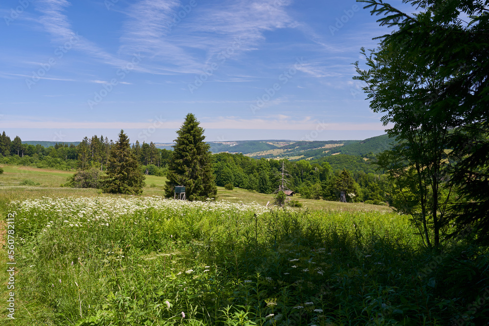 Naklejka premium Landschaft im Oberen Ulstertal der Hochrhön, Bioshärenreservat Rhön, zwischen Hessischer Rhön und Bayerischer Rhön, Deutschland