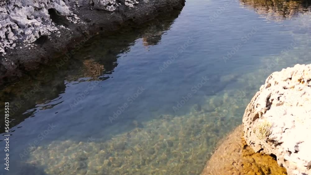 Rocky coast on an island in the Brijuni National Park in Croatia