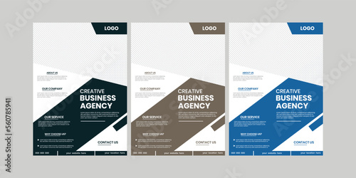 Business institute conference flyer layout. Promotional company flyer design, simple flyer concepts, agency insert flier background
