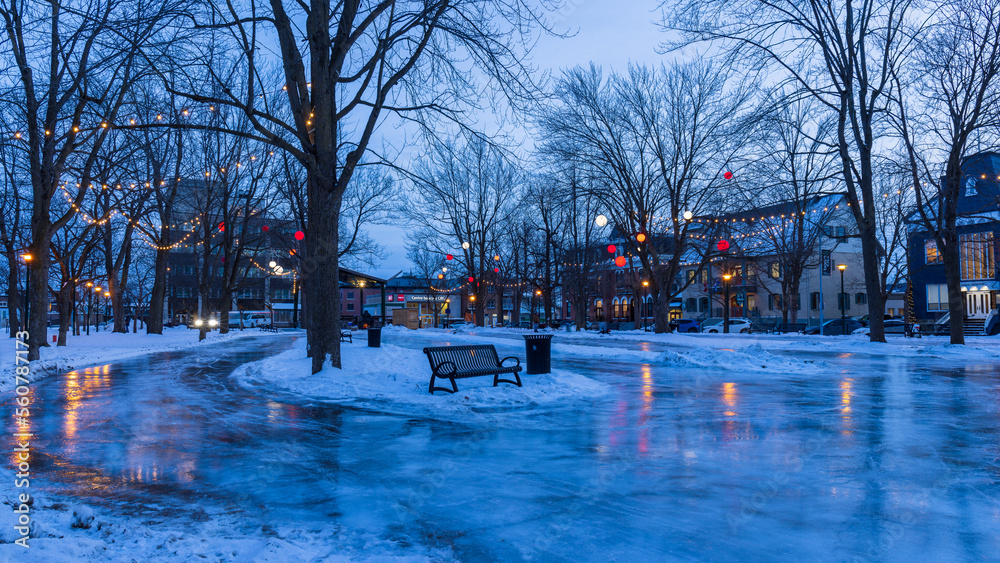 St-Hyacinthe, Casimir-Dessaulles Park, downtown, has been transformed into an illuminated skating rink