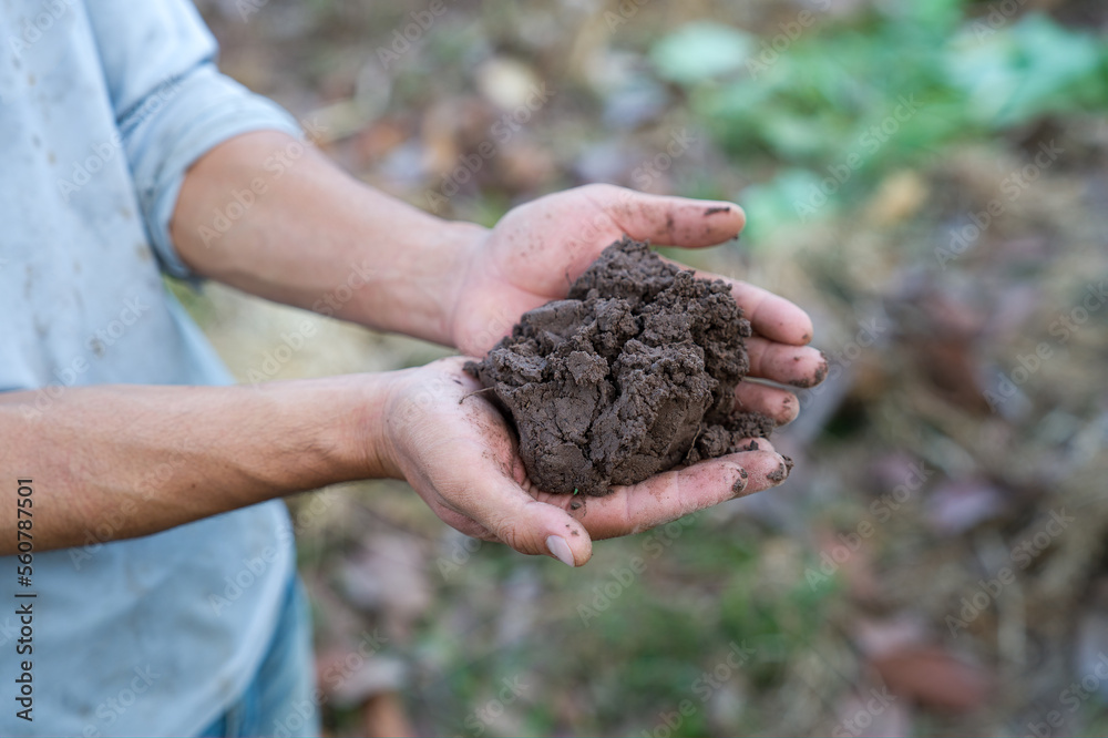 Hand holding soil with nature background.