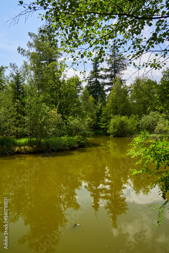 Der Birkensee auf dem Schwanberg im Naturpark Steigerwald  Landkreis Kitzingen  Unterfranken  Bayern  Deutschland