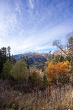 Autumn morning in a mountainous area, a panorama of mountains in a blue haze and the rising sun.*