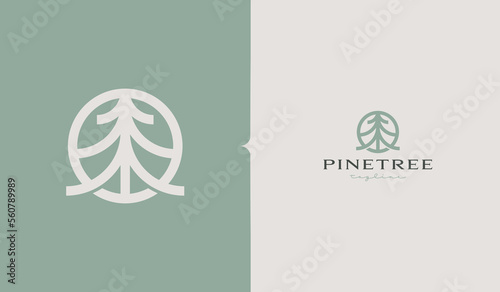 Pine Tree Monoline Logo Template. Universal creative premium symbol. Vector illustration