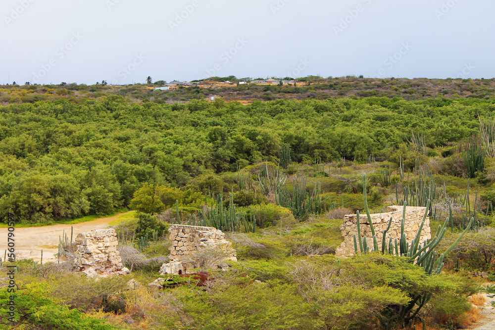 Ruins of the old Balashi Gold Mine, Aruba
