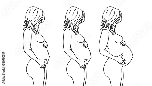 pregnant belly progression illustration. drawing illustration of pregnancy progression. pregnant belly progression of 3 month, 6 month, 9 month.