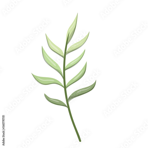 leaf design vector