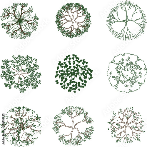 set of elements colorful plant illustration vector sketch design viewed from above