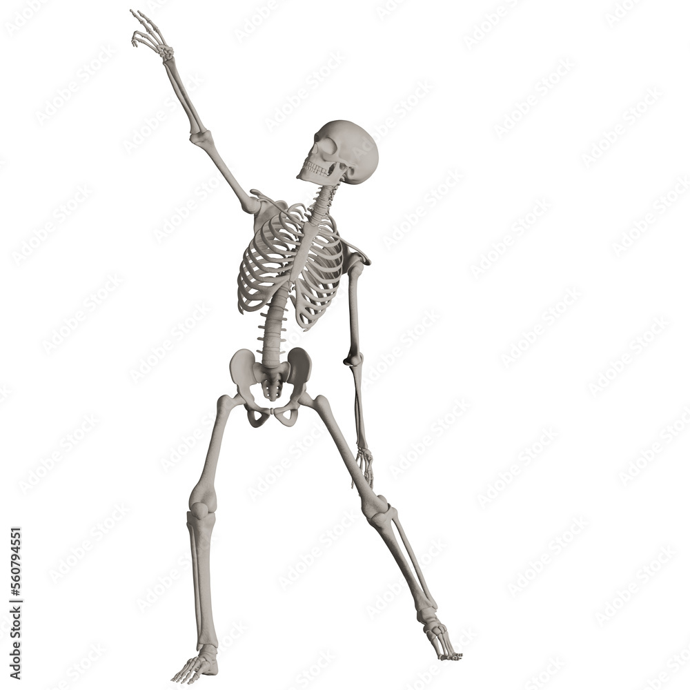 skeleton posing 3d render illustration	
