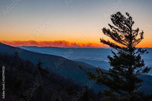 Surreal Winter Sunset  Shenandoah National Park  Virginia USA  Virginia