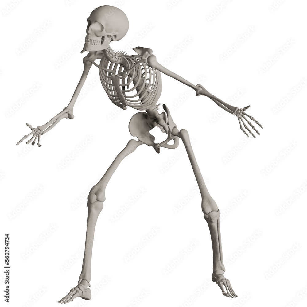 Fototapeta premium skeleton posing 3d render illustration 