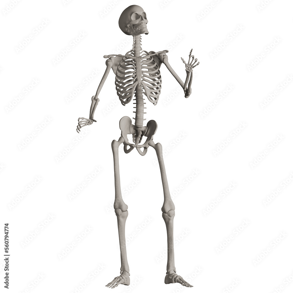 skeleton posing 3d render illustration skeleton posing 3d render illustration