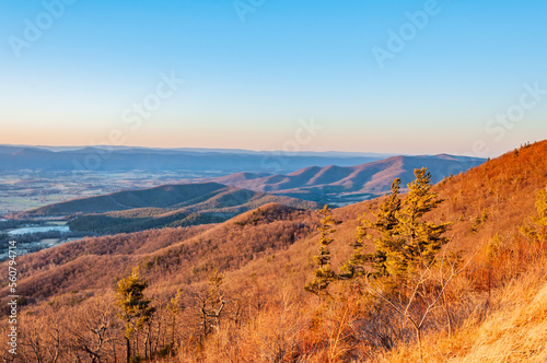 Golden  Mountains in Winter  Shenandoah National Park Virginia USA  Virginia