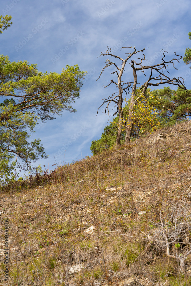 Landschaft im NSG Trockengebiete bei Machtilshausen, Landkreis Bad Kissingen, Unterfranken, Franken, Bayern, Deutschland Landschaft im NSG Trockengebiete bei Machtilshausen, Landkreis Bad Kissingen, Unterfranken, Franken, Bayern, Deutschland