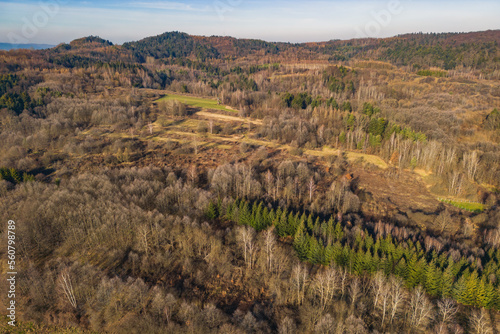 Aerial view of the forest in the morning with the rays of the sun falling on the trees. Drone view