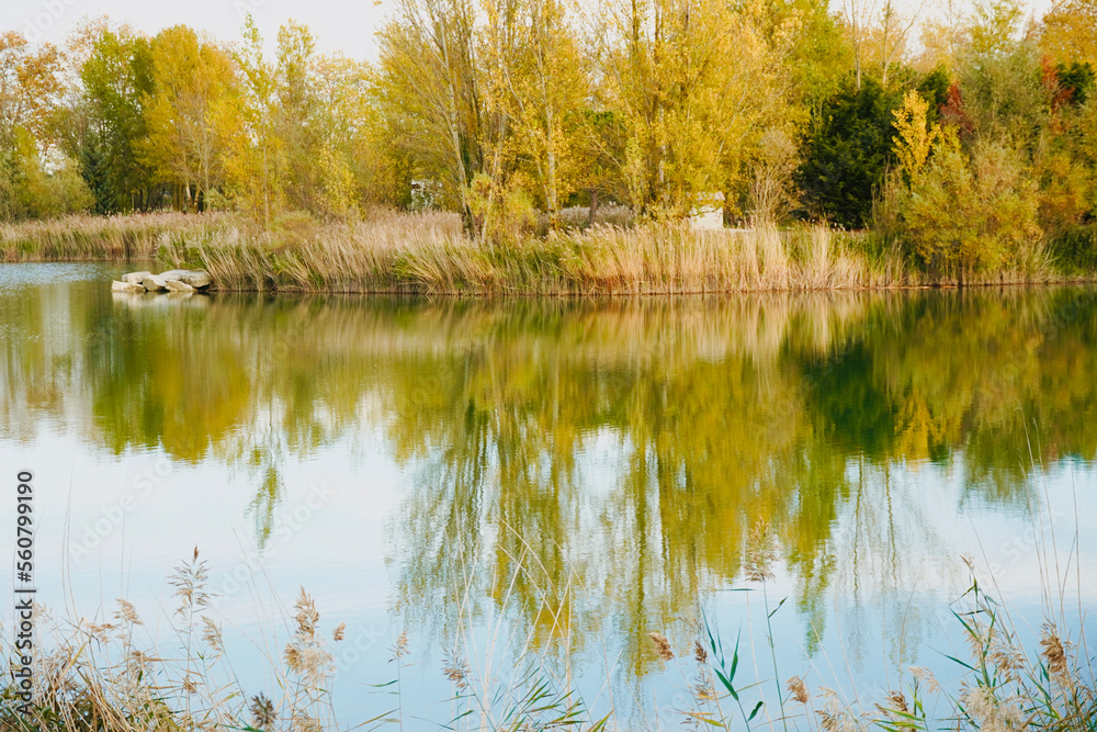 Fototapeta premium Lake view. Languedoc-Rousillon, France. Reflections of the natural landscape in the water.