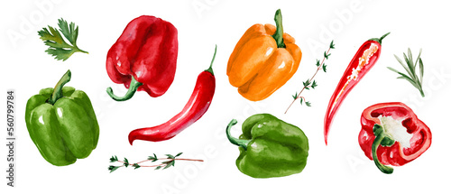 Paprika and chili pepper. Set of watercolor hand drawn illustrations