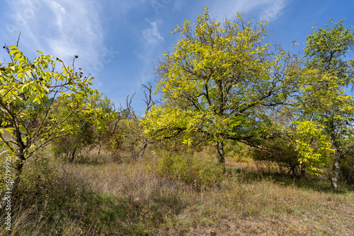 Landschaft im NSG Trockengebiete bei Machtilshausen,  Landkreis Bad Kissingen, Unterfranken, Franken, Bayern, Deutschland