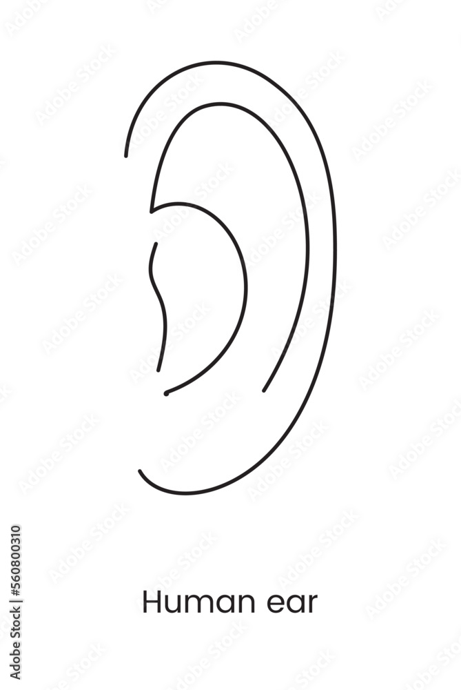 Human ear icon line in vector, illustration of body part. Human ear icon line in vector, illustration of body part.