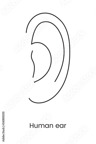 Human ear icon line in vector, illustration of body part.