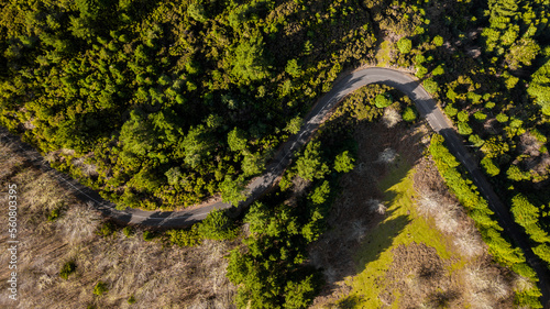 Aerial drone view of a serpent road on a forest top view. Green forest from above. 