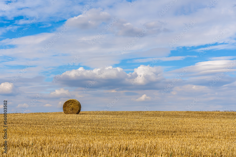 Fototapeta premium A single bale of straw in a stubble field