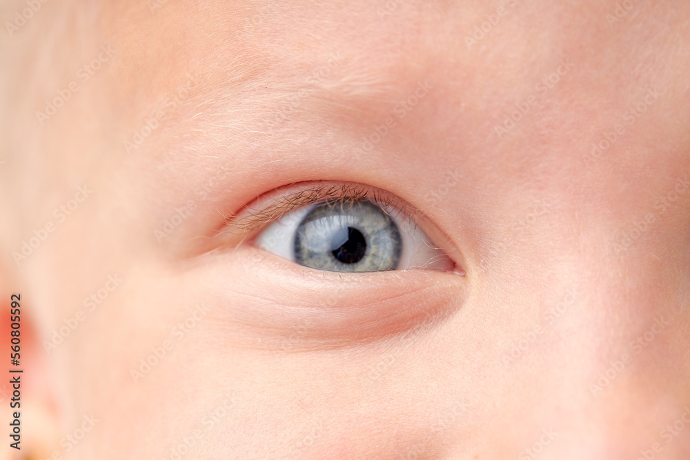 Obraz premium Closeup of beautiful girl eye. Beautiful blue eyes macro shot. image of little kid eye open, healthy skin. excited expression emotion