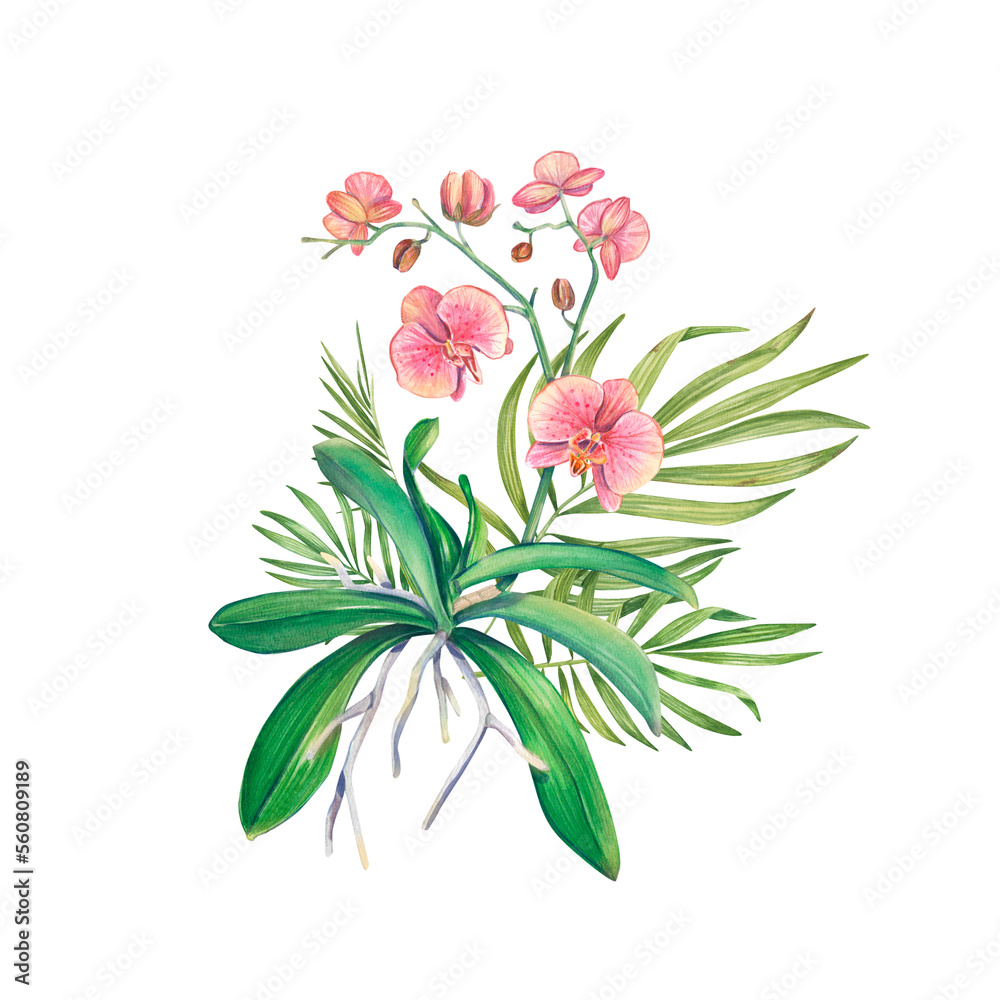 Watercolor bouquet with orchid and tropical branches of hovea. An exotic houseplants. Tropical orchid. Botanical illustration of a flower. Flower arrangement for print, invitation design, pack, spa.