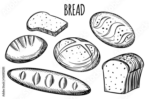 Fresh hand drawn white bread, whole grain bread, baguette and buns for bakery or pastry shop.