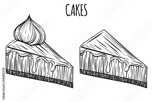 Fresh hand drawn cake, pie or cheesecake for bakery or pastry shop.