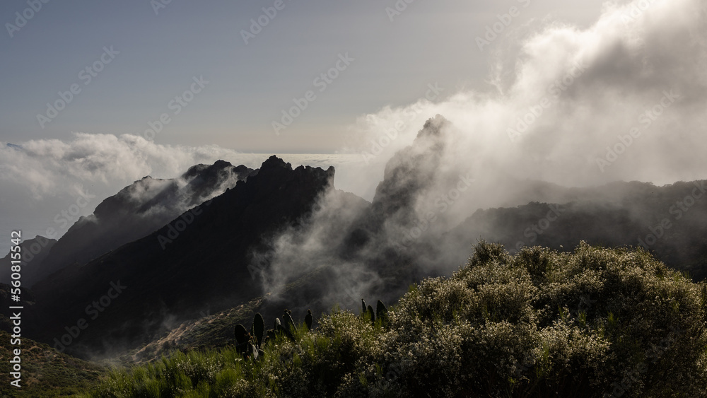 Nebelstimmung auf Teneriffa 