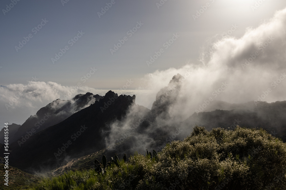 Nebelstimmung auf Teneriffa 