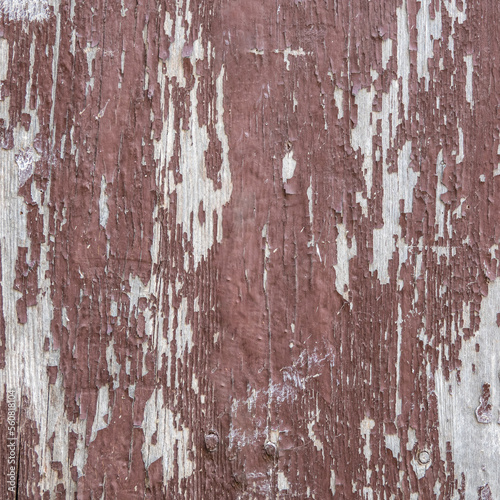 Texture of a wood wall © Iryna