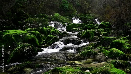Waterfall in the mountain and rocks covered with moss. Slow motion video