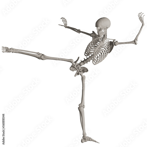 skeleton posing 3d render illustration with transparent background	