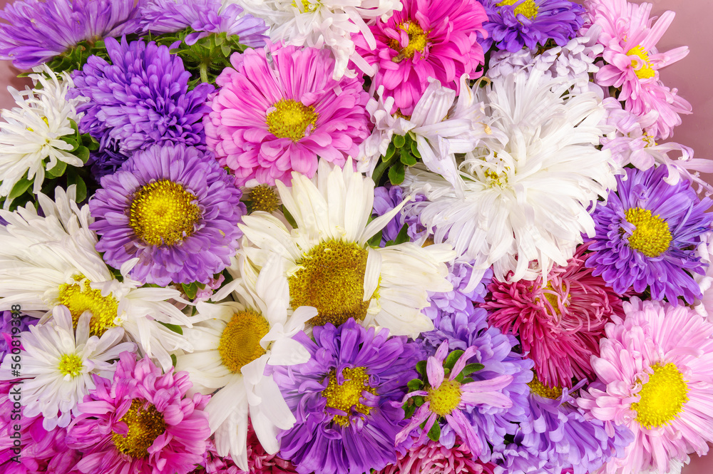 Bouquet of colorful flowers, top view. Love, nature Bouquet of colorful flowers, top view. Love, nature