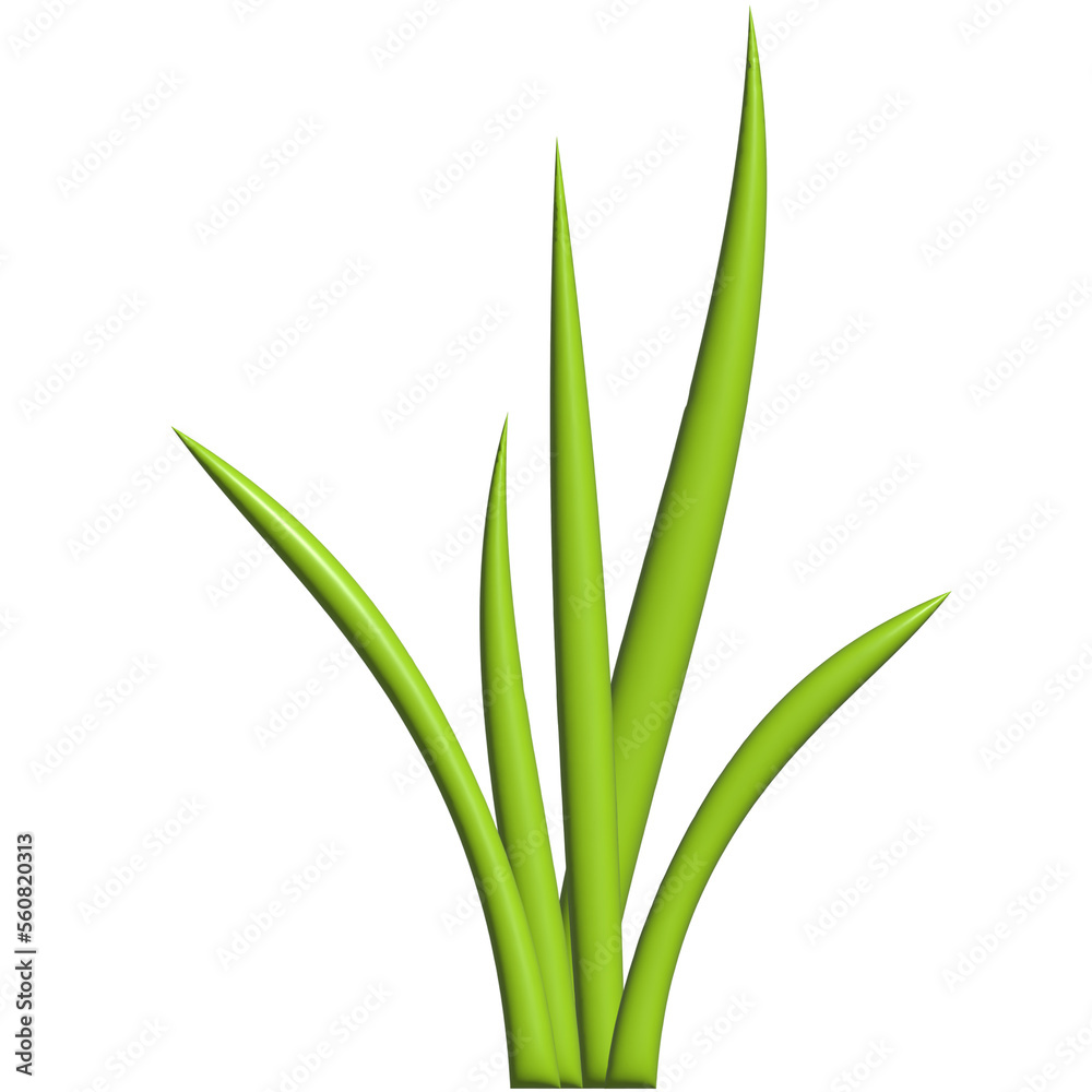 3D plants and flowers.