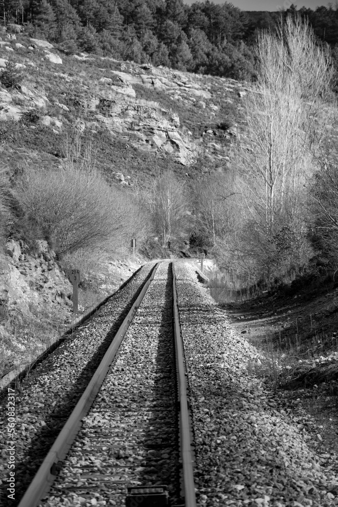 Fototapeta premium railway in the countryside